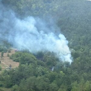 boluda orman yangini 4SRWBwlQ