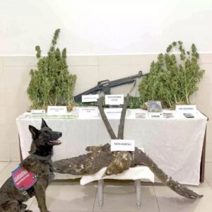 uyusturucu ve kacak avcilikla tutuklama HLWTILDf