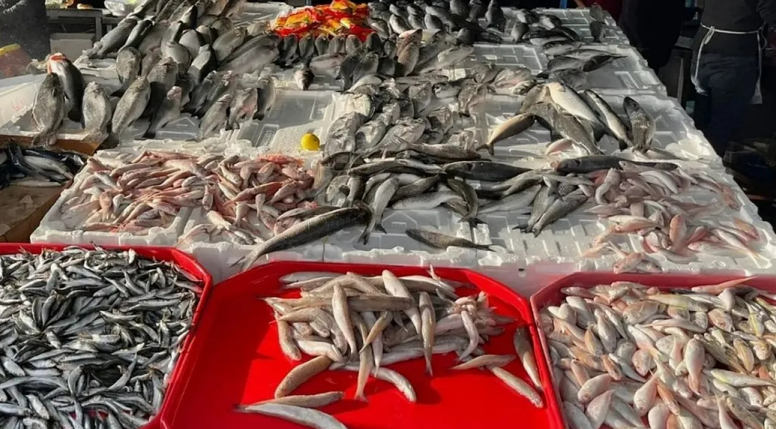 fiyati dusunce talep artti BB9SFUee