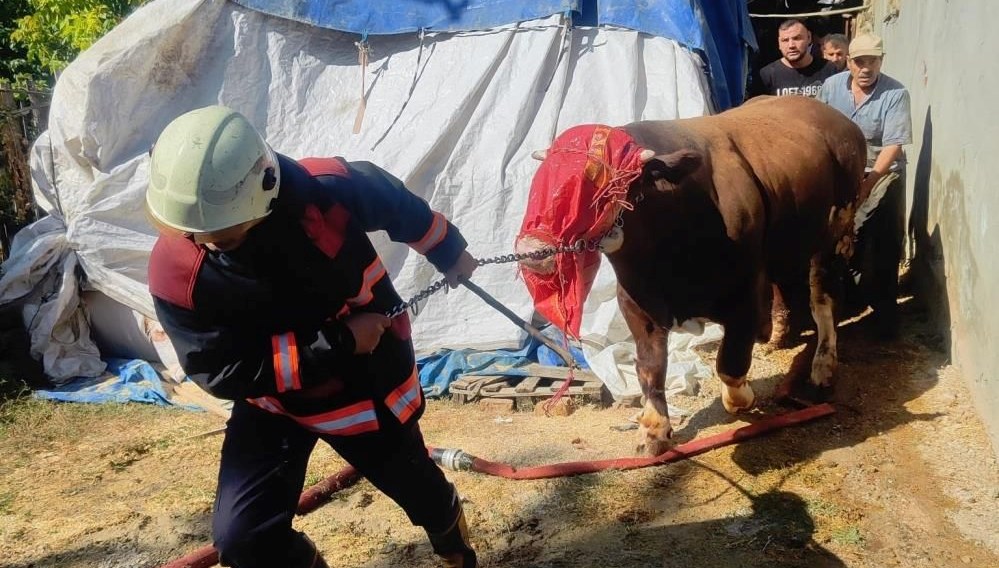 malatyada ahirda yangin panigi rb42wbhD