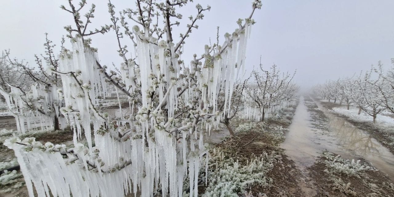 tarim sigortasi bulunmayan ciftciye 707 milyon lira destek 5KWEdX3V.jpg