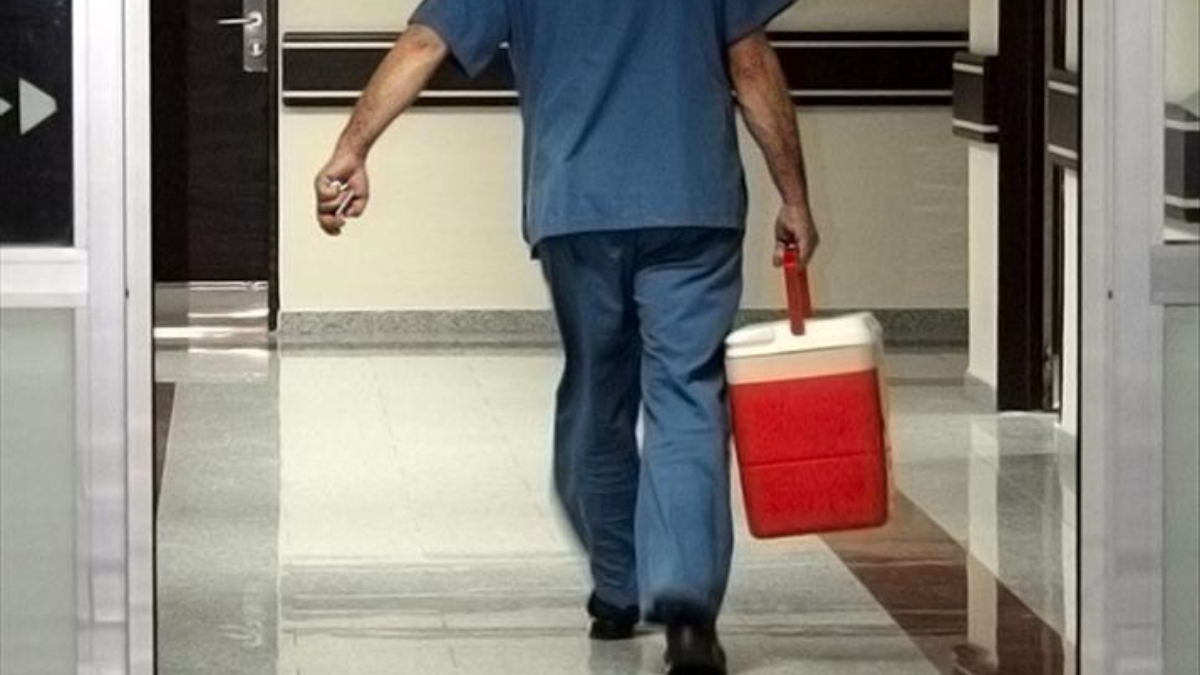 turkiyede 33 bine yakin hasta organ nakli bekliyor TKwudx5X.jpg