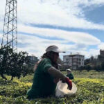 caykurdan-sezon-oncesi-ureticilere-bilgilendirme-1WxFO1JC