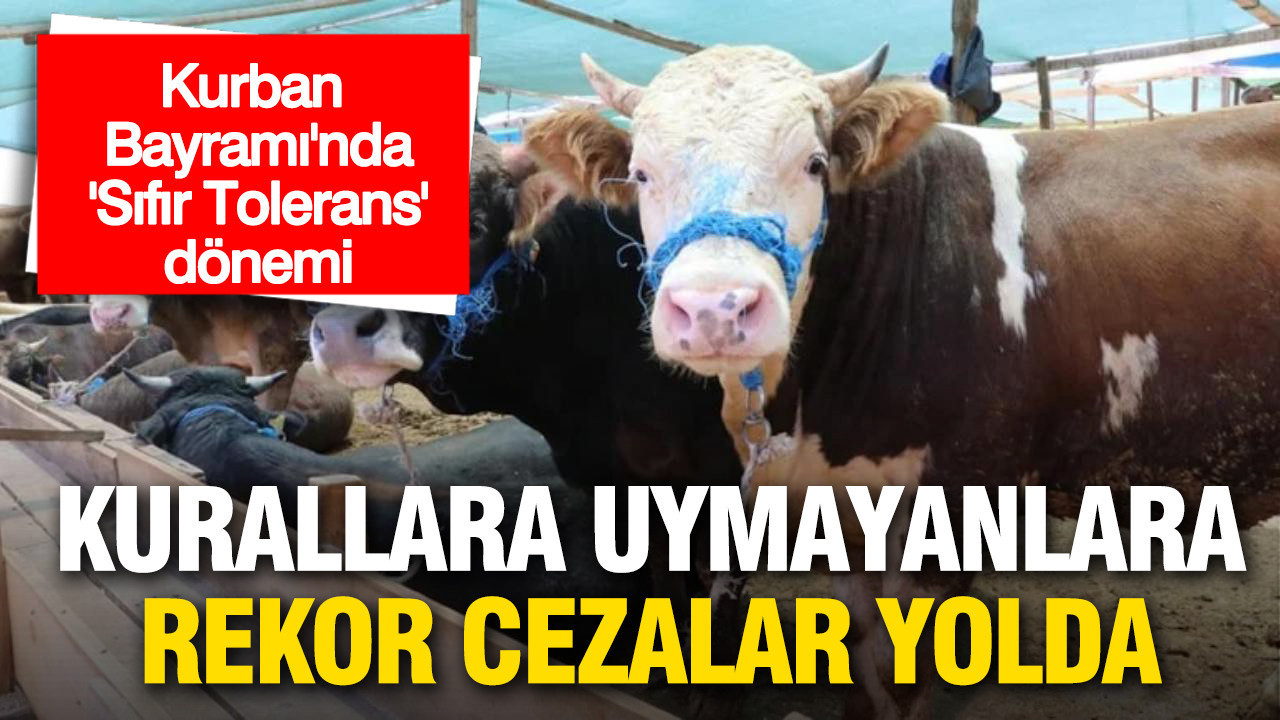 ** Kurban Bayramı’nda Sıfır Tolerans Uygulaması: Kurallara Uymayanlar İçin Ağır Cezalar