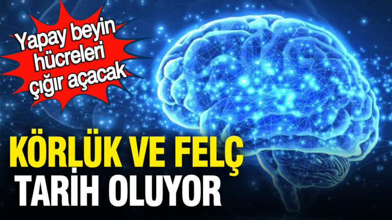 yapay-beyin-hucreleri-cigir-acacak-korluk-ve-felc-tarih-oluyor-nN9FT3Bk-1