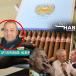 Haber gorseli